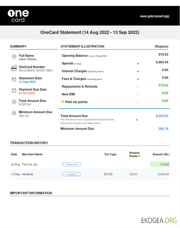 Modèle Word et PDF de déclaration USA 1ONE CARD